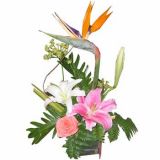 ϻʻٵ
