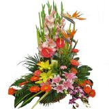 ϻʻٵ